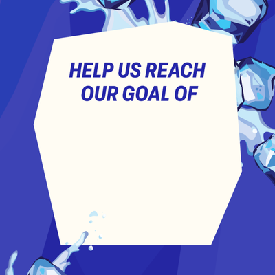 Fundraising Goal Instagram Story